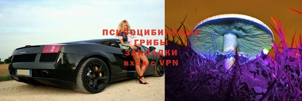 стаф Лабытнанги