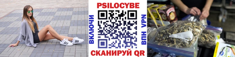 Галлюциногенные грибы Cubensis  Купить закладки  Дедовск 