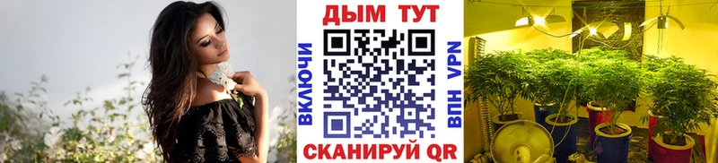 Бошки марихуана гибрид  Купить  Дедовск 